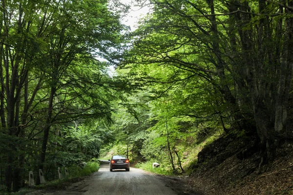 Vista Dal Finestrino Una Macchina Movimento Sulle Strade Della Crimea — Foto Stock