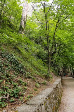Kırım, Yalta - 19 Temmuz, 2018. Orman şelale Uchan-Su ziyaret.