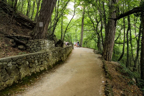 Kırım, Yalta - 19 Temmuz, 2018. Orman şelale Uchan-Su ziyaret.