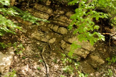 Kırım'da yollarda hareket eden bir arabanın penceresinden sayısı.