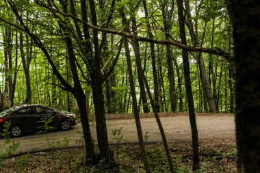 Kırım'da yollarda hareket eden bir arabanın penceresinden sayısı.