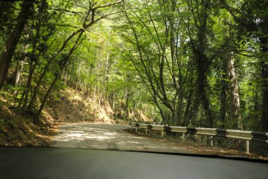 Ormanın içinde yılan gibi dağ.