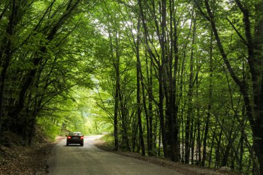 Gölge ve ışık yolda çok.