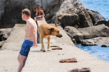 Köpek parapetin üzerinde.