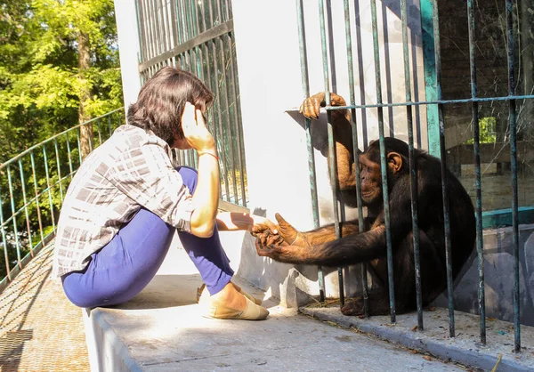 Chica jugando con un mono . — Foto de Stock