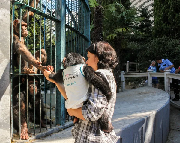 Trabajador del zoológico con monos . — Foto de Stock