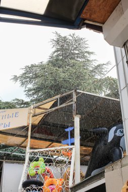 Yaz yağmuru jetlerin.