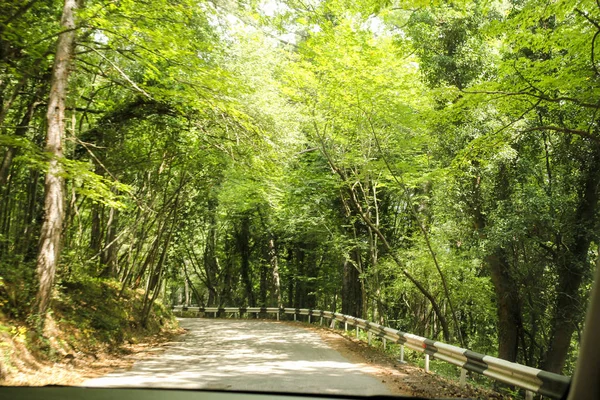 Recinzione strada di montagna . — Foto Stock