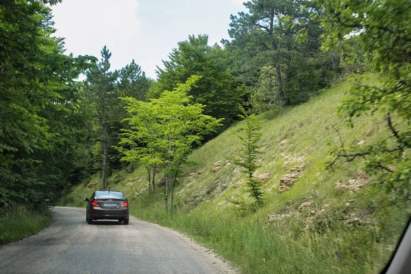 A estrada para o desfiladeiro da floresta . — Fotografia de Stock