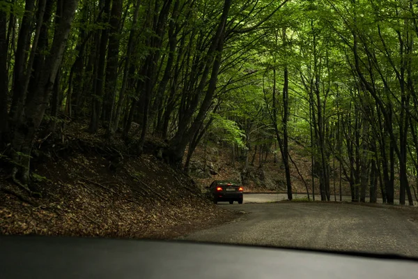 Estrada florestal sinuosa . — Fotografia de Stock
