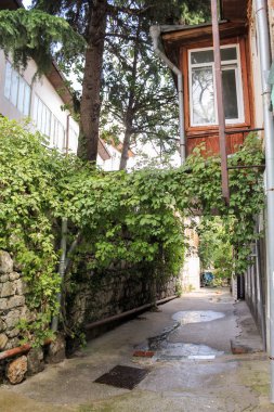 Sokak Çehov balkonda.