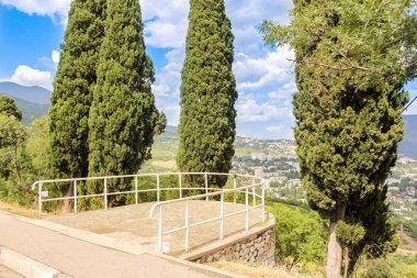 Selvi ağaçları gözlem platformu.