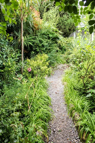 stock image The path to the garden.