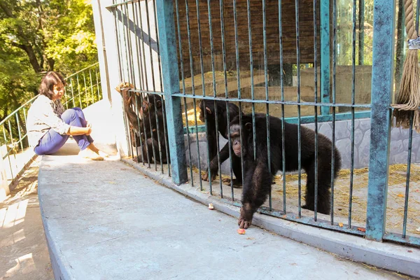 Chica en una jaula con monos . — Foto de Stock
