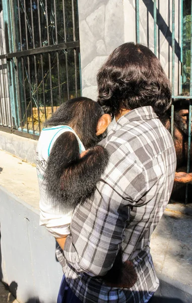 Una chica con un mono bebé en una jaula . — Foto de Stock