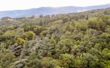 Büyük park Massandra.