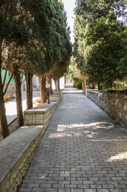 Gölgeli selvi sokak.