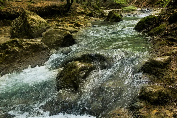 Ruisseau turbulent d'un ruisseau de montagne . — Photo