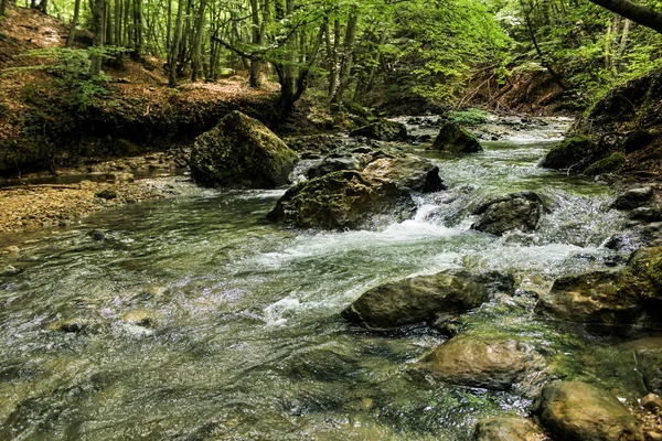 Rivière de montagne rocheuse dans la forêt . — Photo