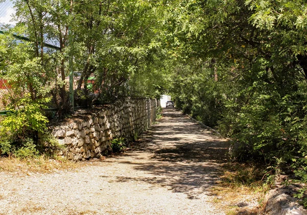 Zarośnięte stare street. — Zdjęcie stockowe