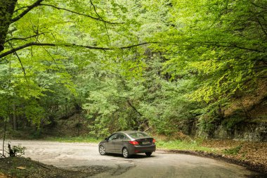 Araba yolun başında.