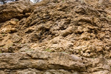 Rock araba pencerenin dışında.