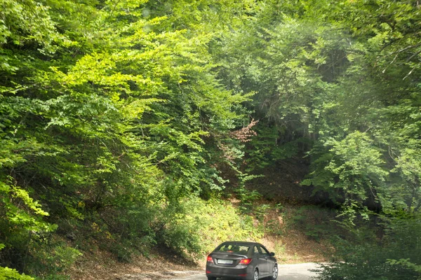 Rijden op een berg bos weg. — Stockfoto
