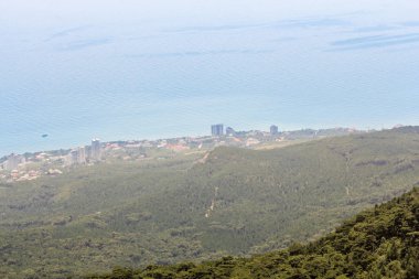 Sahil güneşli bir sis içinde.