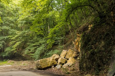 Taş yolun kenarında Daralt.