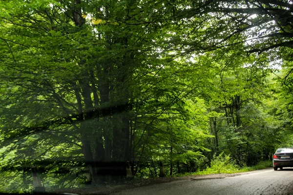 Carro na estrada da floresta . — Fotografia de Stock