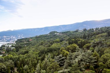 Massandrovsky Park görünümünü.