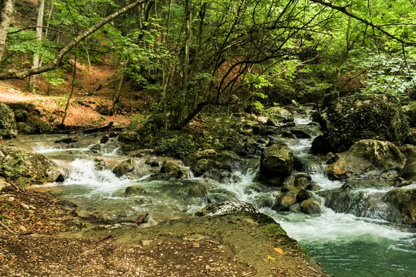 Stream of the Big Crimean Canyon. — Stock Photo, Image