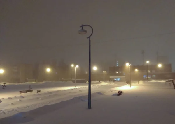 Les lumières dans le brouillard dans le parc d'hiver . — Photo