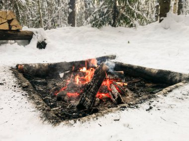 Ormanda şenlik ateşi.