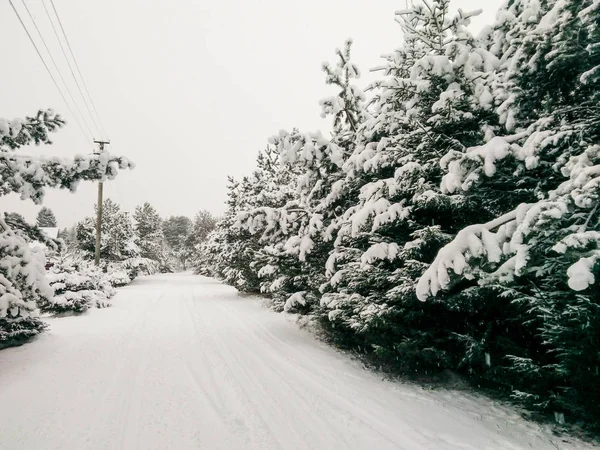 Winter weg in het dorp. — Stockfoto