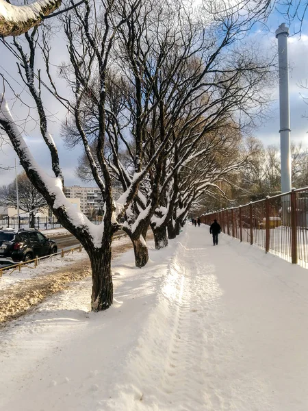 City winter track. — Stock Photo, Image