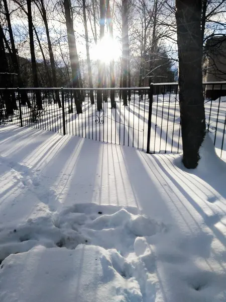 Sombras na neve . — Fotografia de Stock