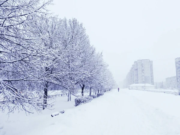 Белая зима в городе . — стоковое фото