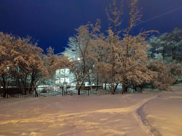 Wieczór ciężki śniegu. — Zdjęcie stockowe