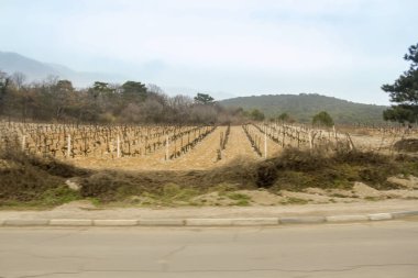 Karayolu ile yeni bağ.