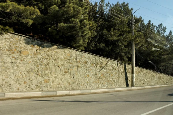 Pines over the wall. — Stock Photo, Image