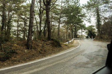 Ormanda dolambaçlı yol.