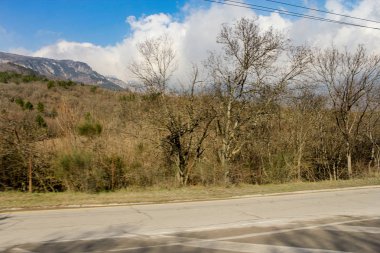 ağaçların arkasında bulutlar.