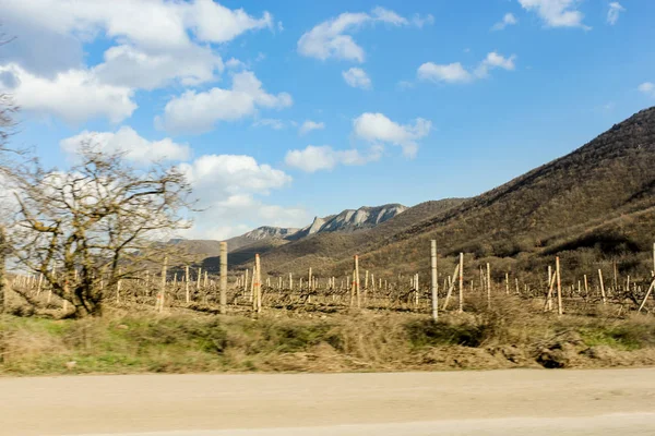 Spring landscape by the road. — Stock Photo, Image