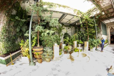 Kış Bahçesi bitkilerde.