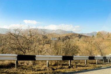 Çitin arkasındaki çalılıklar.