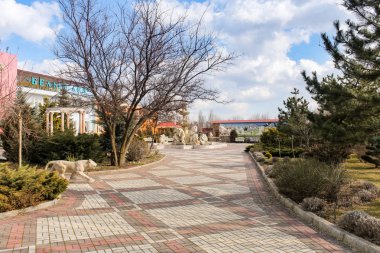 Park aslanları Taigan.