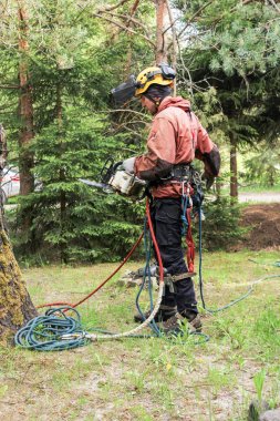 Arborist tam dişli.