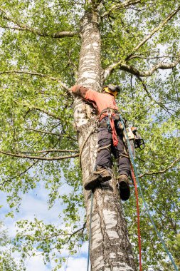 Çalışan ağaç üzerinde sabit.