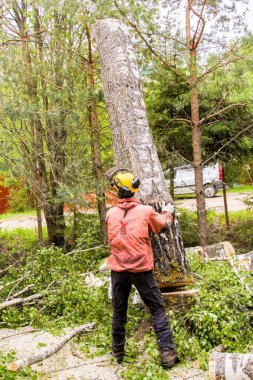 Son odun parçasını itmek.